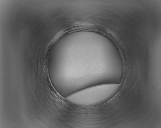 X0000052931354200507080816