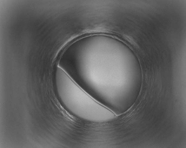 X0000052931356200507080816