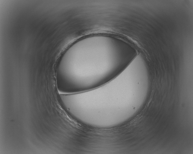 X0000052931363200507080816