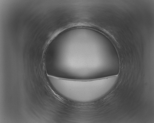X0000052931367200507080816