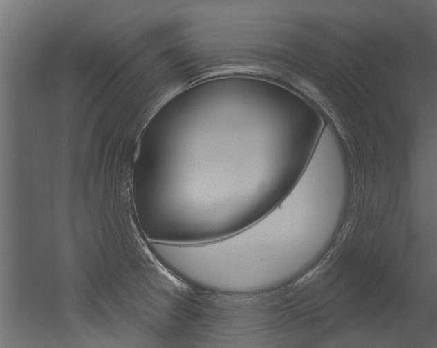 X0000052931377200507080815