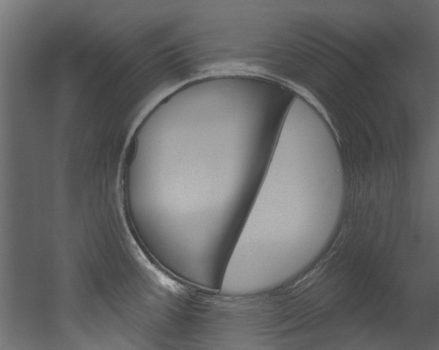 X0000052931387200507080815