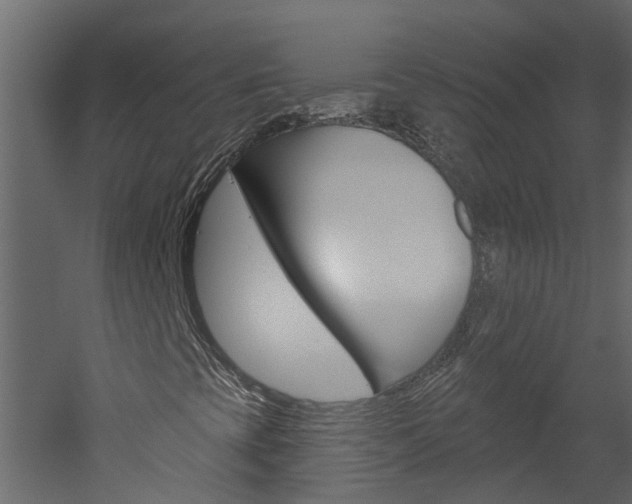 X0000052931393200507080814