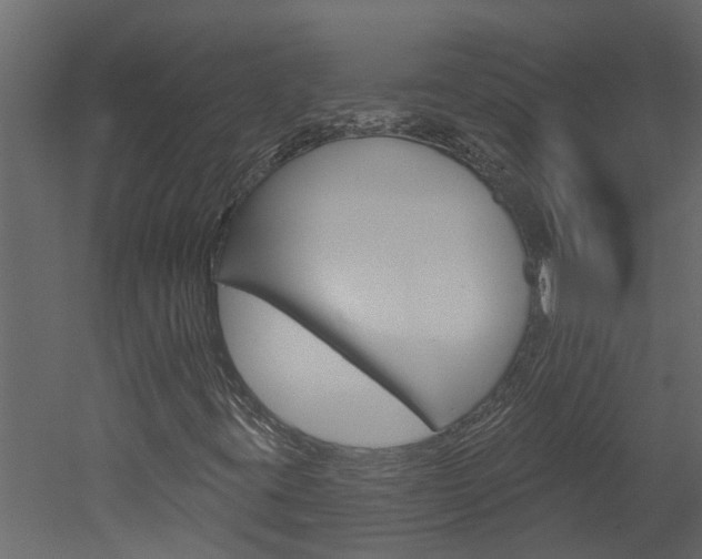 X0000052931395200507080814