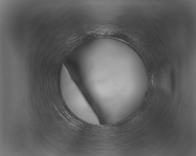 X0000052931396200507080814