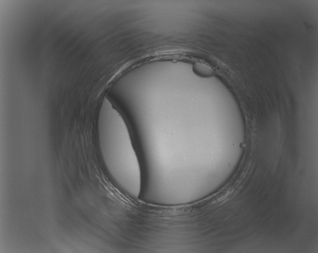 X0000052931401200507080814
