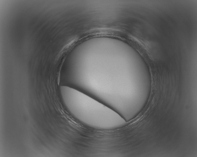 X0000052931403200507080814