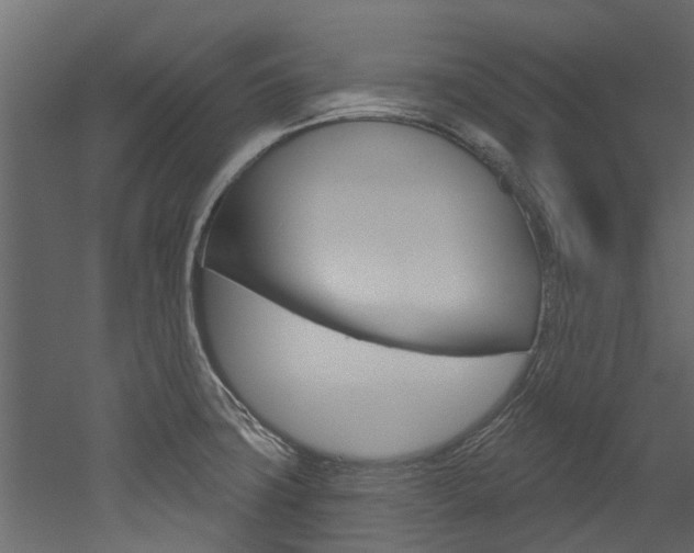 X0000052931427200507080815