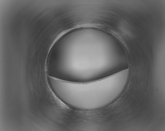 X0000052931428200507080815