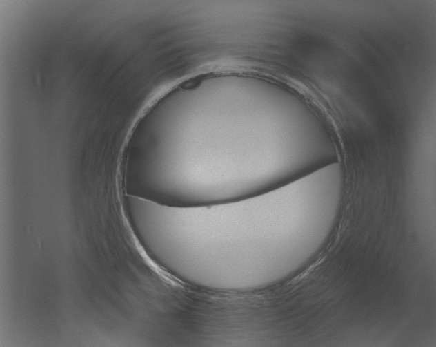 X0000052931429200507080815
