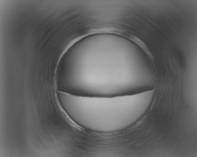 X0000052931436200507080815