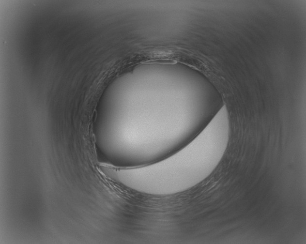 X0000052931441200507080814