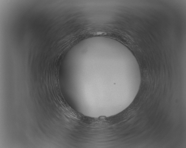 X0000052931442200507080814