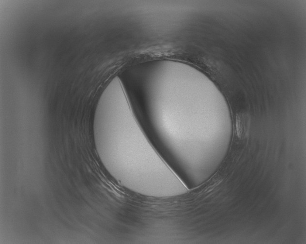 X0000052931444200507080814