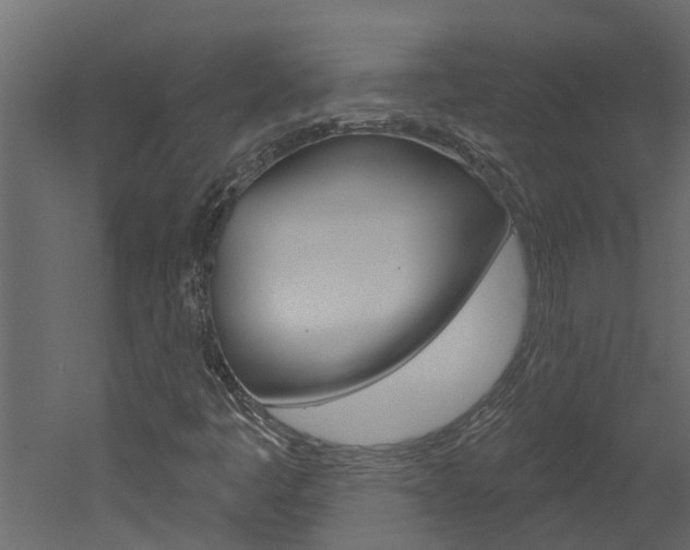 X0000052931445200507080814