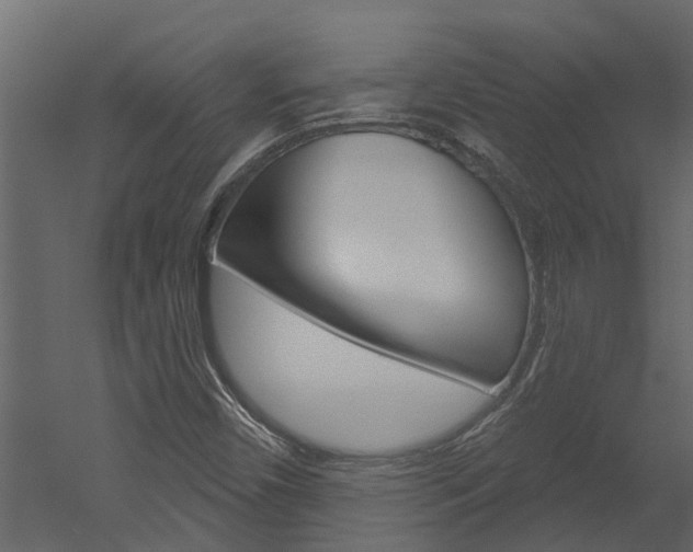 X0000052931450200507080814