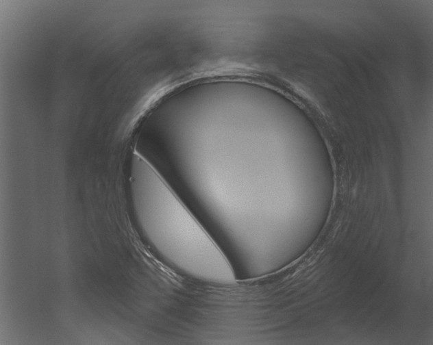 X0000052931455200507080814