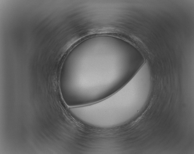X0000052931457200507080814