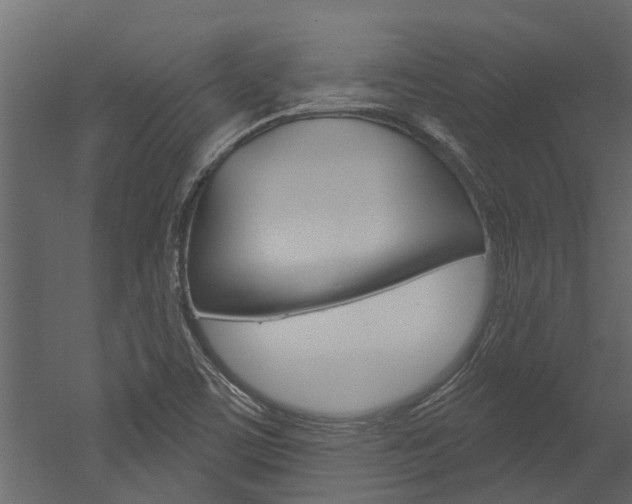 X0000052931459200507080814