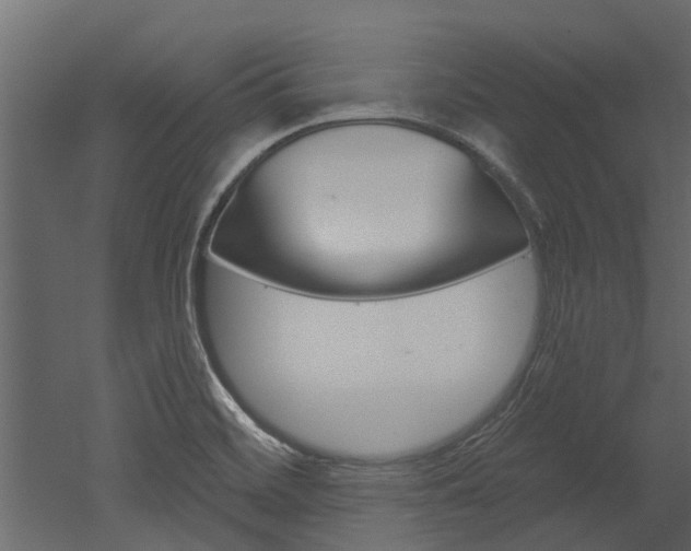 X0000052931468200507080814