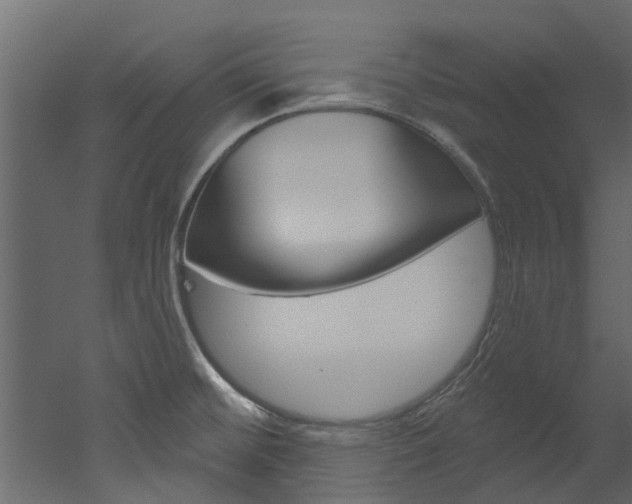 X0000052931476200507080814