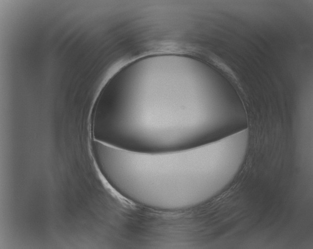 X0000052931479200507080814