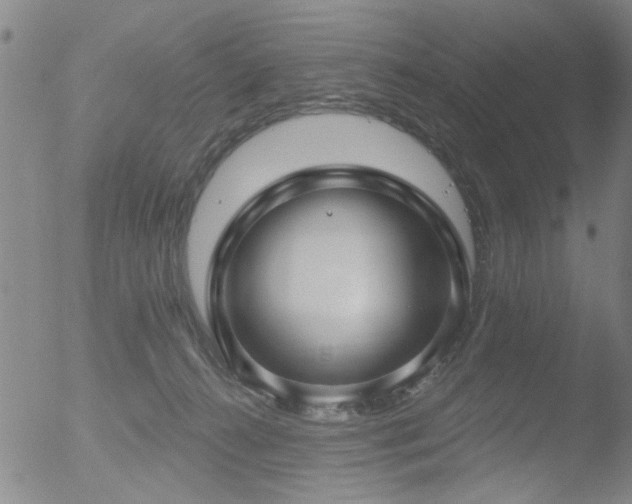 X0000052930272200507081126