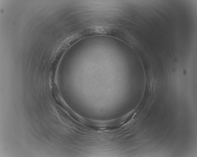 X0000052930595200507081120