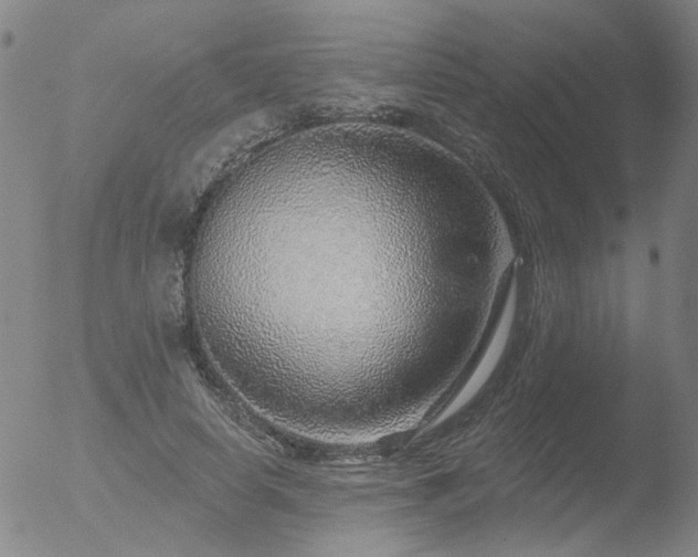 X0000052930642200507081119