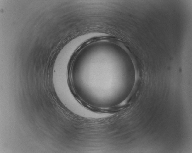X0000052930818200507081116
