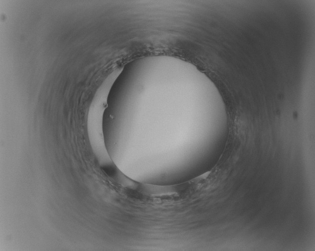 X0000052930865200507081116
