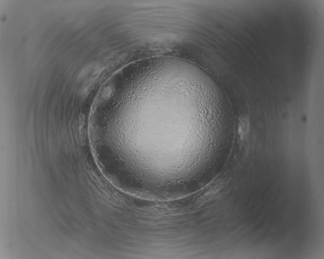 X0000052930867200507081116