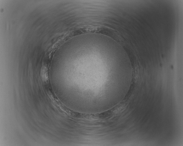 X0000052930962200507081114