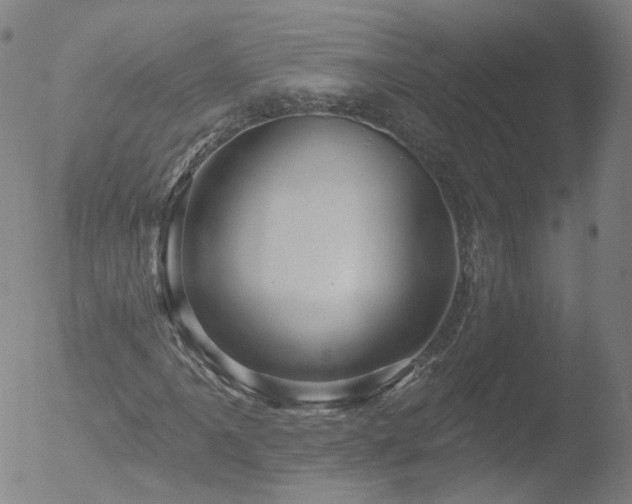 X0000052931061200507081113