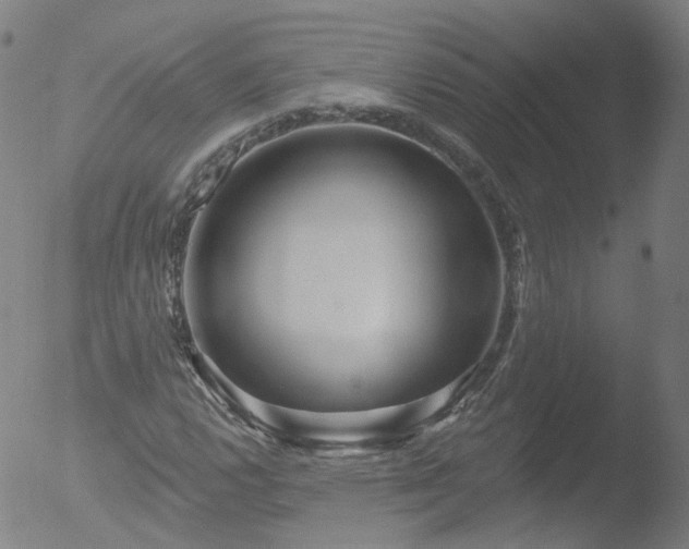 X0000052931112200507081111