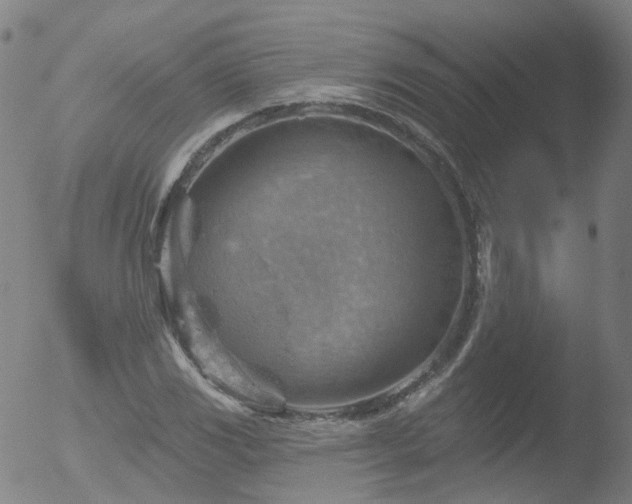 X0000052931117200507081111