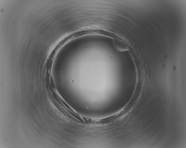 X0000052931118200507081111