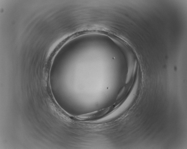 X0000052931120200507081111