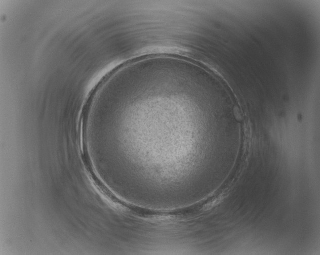 X0000052931127200507081111