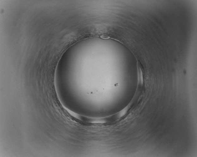 X0000052931153200507081111