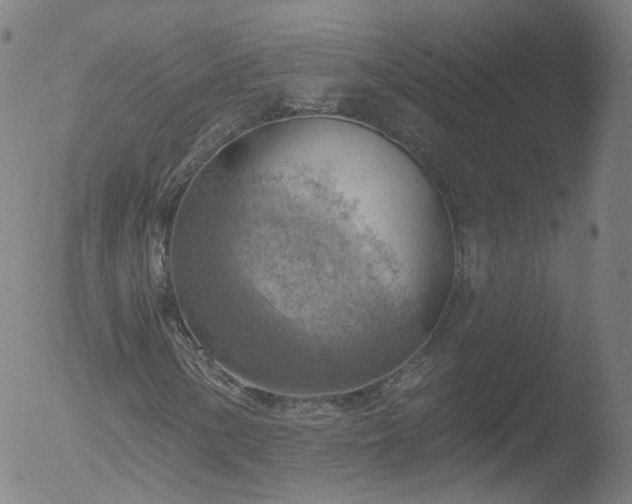 X0000052931154200507081111