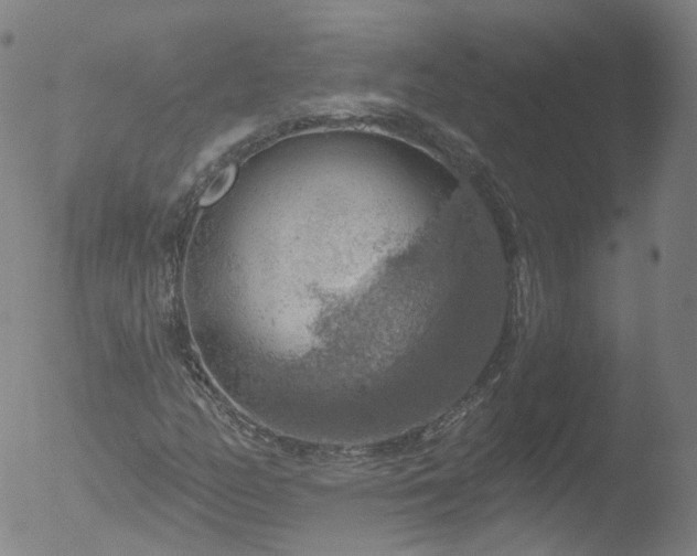 X0000052931158200507081111