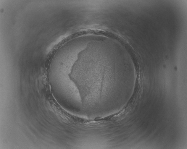 X0000052931159200507081111