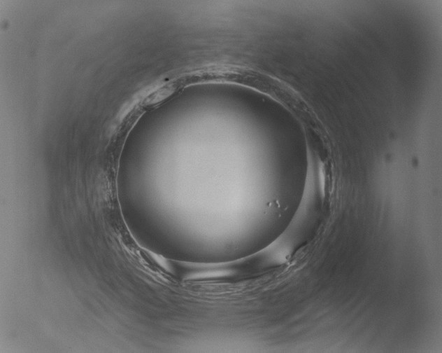 X0000052931160200507081111