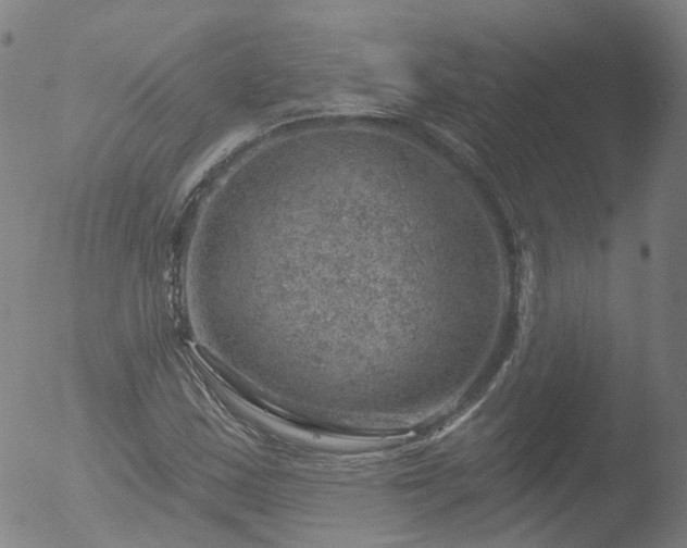 X0000052931163200507081111