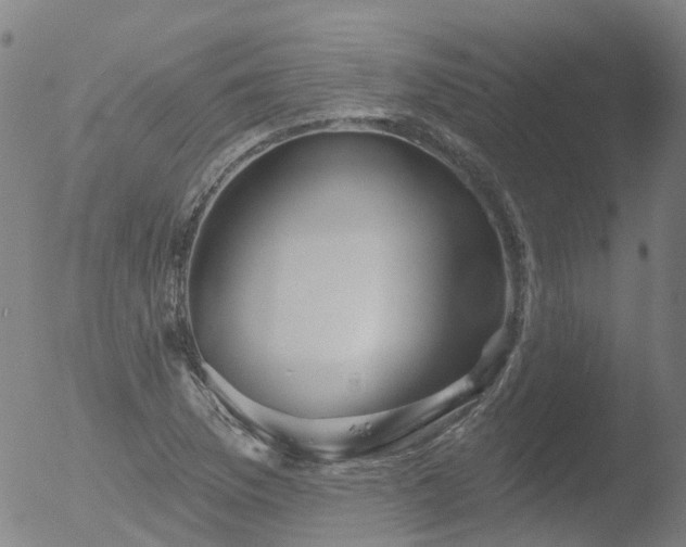 X0000052931169200507081111