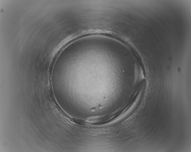 X0000052931173200507081111