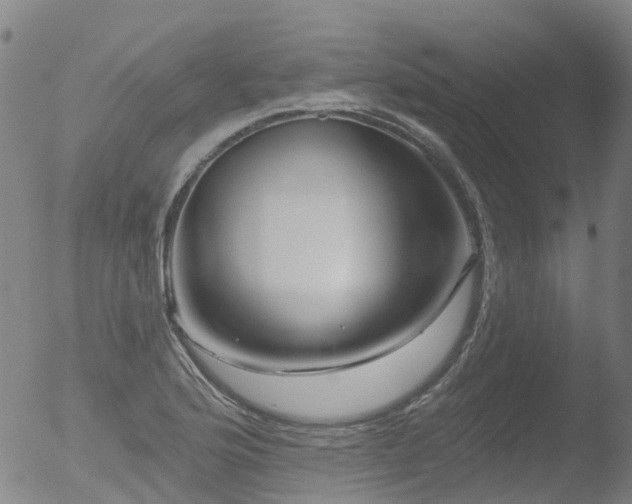 X0000052931176200507081111