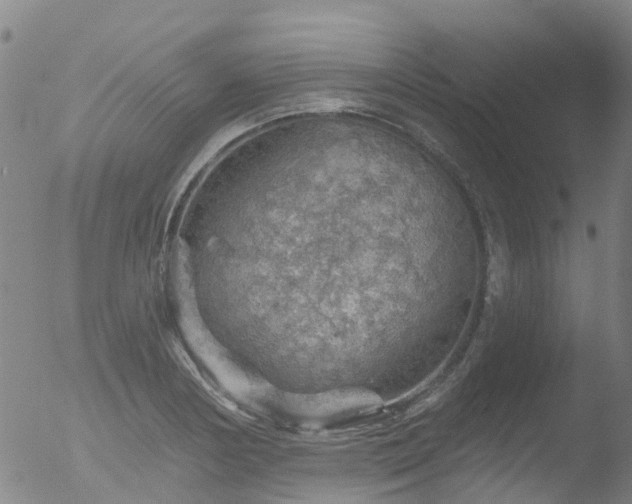 X0000052931178200507081111