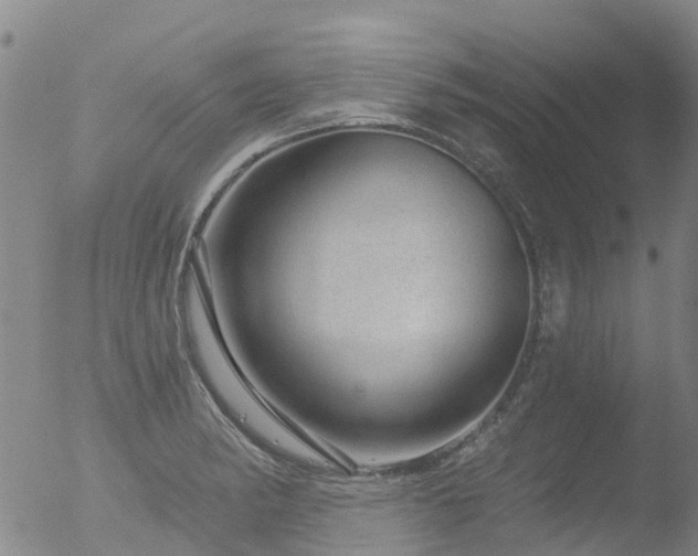 X0000052931182200507081111